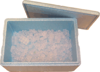 25kg Eiswürfel in Styroporbox 